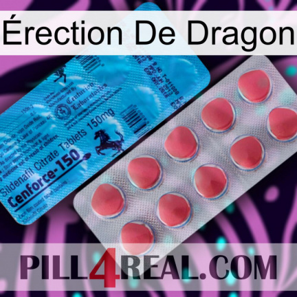 Érection De Dragon new14